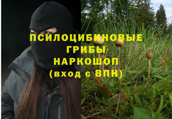 дурь Семилуки