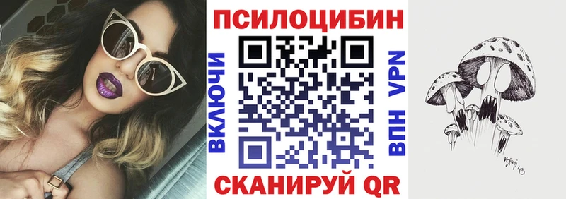 где можно купить наркотик  Буй  Псилоцибиновые грибы мицелий 